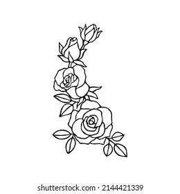 Flor de rosa, ilustración vectorial dibujada a mano