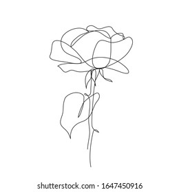 Rose Flower Icon. Continuous One Line Drawing. One Line Art. Vector Illustration