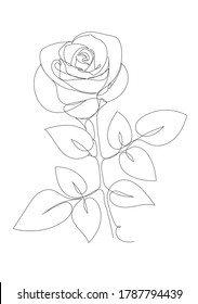 Rose flower icon. Continuous one line drawing. Vector illustration,vector illustration for t-shirt.