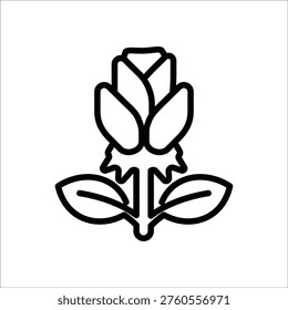 Rose flower Icon, Line Vector graphics