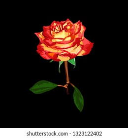 Rose flower icon. Vector beautiful red rose on black background.
