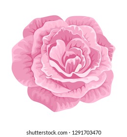 Rose flower icon. Vector illustration  in cartoon flat style isolated on white. 