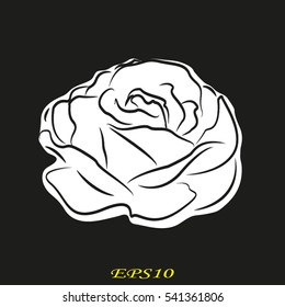 rose flower, icon, vector illustration EPS 10
