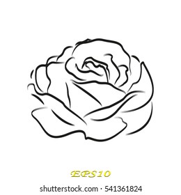 rose flower, icon, vector illustration EPS 10