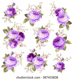 Rose flower illustration