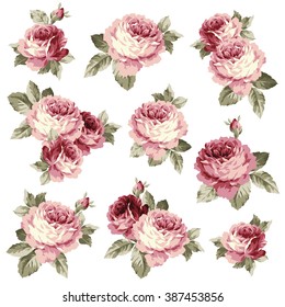 Rose flower illustration