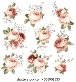 Rose flower illustration,