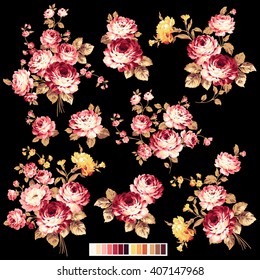 Rose flower illustration,