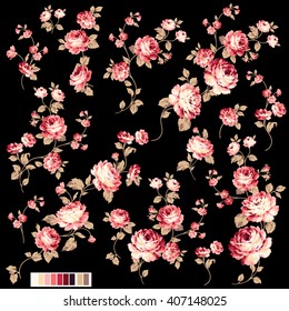 Rose flower illustration,