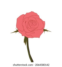 rose flower illustration for billboard and book cover. A simple flat vektor design