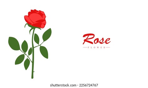 Rose flower illustration in flat style. Rose flower for banner with space for text. Isolated vector illustration.