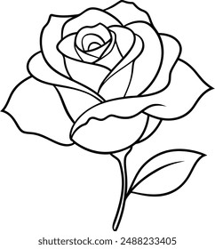 Rose flower illustration, line pattern. Vector artwork. Coloring book page.