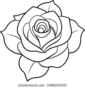 Rose flower illustration, line pattern. Vector artwork. Coloring book page.