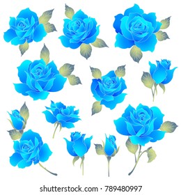 Rose flower illustration,
I made a beautiful rose a painting
