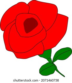 Rose Flower Isolated Floral Vector