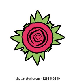 rose flower isolated icon