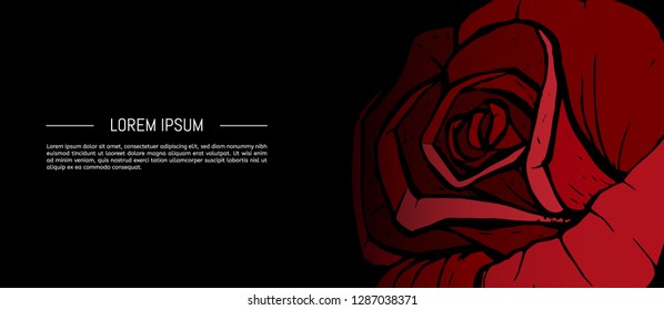 Rose flower isolated on black background. Vector illustration.