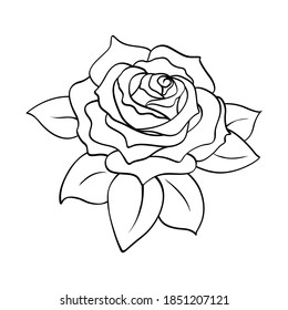 Rose flower isolated on white background. Blooming bud with leaves in black hand drawn outline sketch. Vector element for natural, wedding design, plant, botanical illustration, coloring book, tattoo.