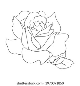 Rose flower isolated on white vector image. Rose one line ilustration.
