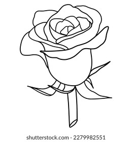 rose flower, rose flower isolated on white background. rose illustarion