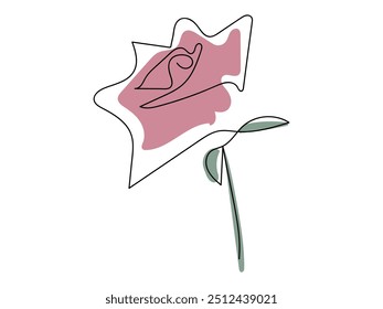 Rose flower isolated on white background