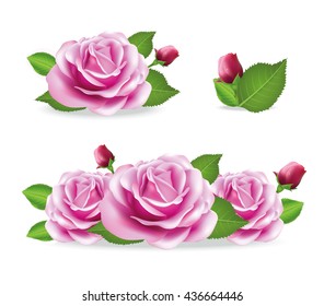 Rose flower isolated on white background. Vector pink roses. Realistic flower. 