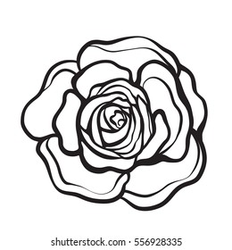 Rose flower isolated outline hand drawn. Stock line vector illustration.
