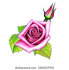 Rose flower with leafs isolated on white background, vector EPS 10 illustration