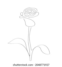 Rose flower with leaves drawn by one line