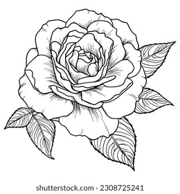 Rose flower with leaves line art. Black outline vector botanical art. Modern floral illustration for wedding invitations.