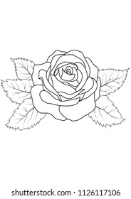 rose flower with leaves outline vector template
