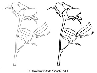 Rose flower with leaves - silhouette - crop - vector