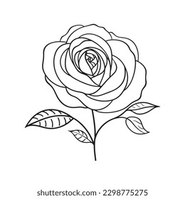 Rose flower in line art drawing on white background. 