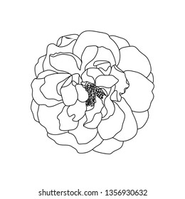 Rose flower line art. Minimalist contour drawing. Vector outline. Botanical artwork. 