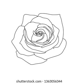 Rose flower line art. Minimalist contour drawing. Vector outline. Botanical artwork. 