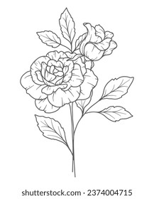 Rose flower Line Art. Rose flower outline Illustration. June Birth Month Flower. Rose flower outline isolated on white. Hand painted line art botanical illustration.