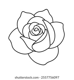 Rose Flower Line Art Vector Illustration – Minimalistic Outline Design
