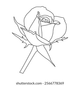 Rose Flower Line Art Vector Illustration