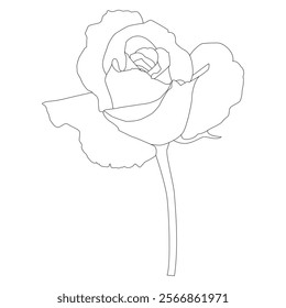 Rose Flower Line Art Vector IllustrationRose Flower Line Art Vector Illustration