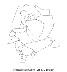 Rose Flower Line Art Vector IllustrationRose Flower Line Art Vector Illustration