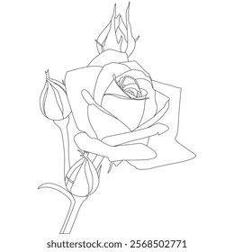 Rose Flower Line Art Vector IllustrationRose Flower Line Art Vector Illustration