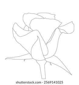 Rose Flower Line Art Vector IllustrationRose Flower Line Art Vector Illustration