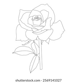 Rose Flower Line Art Vector IllustrationRose Flower Line Art Vector Illustration