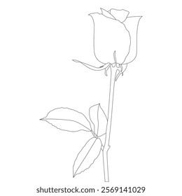 Rose Flower Line Art Vector IllustrationRose Flower Line Art Vector Illustration