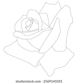 Rose Flower Line Art Vector IllustrationRose Flower Line Art Vector Illustration