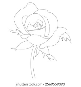 Rose Flower Line Art Vector IllustrationRose Flower Line Art Vector Illustration