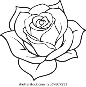 Rose flower line art vector