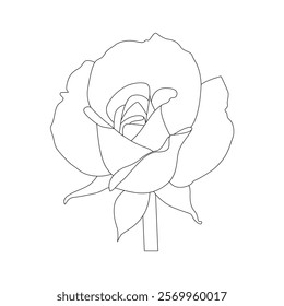 Rose Flower Line Art Vector IllustrationRose Flower Line Art Vector Illustration
