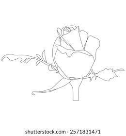 Rose Flower Line Art Vector IllustrationRose Flower Line Art Vector Illustration