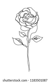 rose Flower  ,line drawing style,  art design